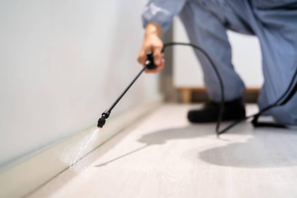 Professional exterminator conducting IPM assessment in Beckett Ridge